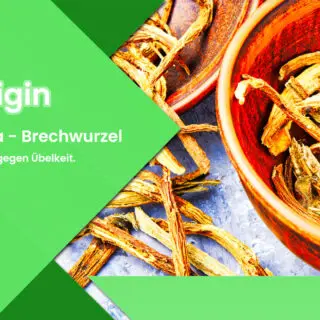 Die Brechwurzel hilft gegen Übelkeit.