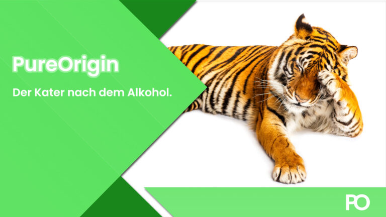 Den Kater nach dem Alkohol bekämpfen.