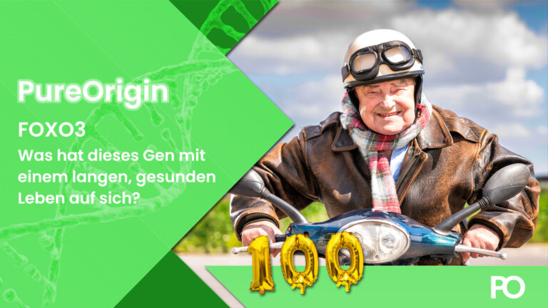 FOXO3 - Was hat dieses Gen mit einem langen und gesunden Leben auf sich?